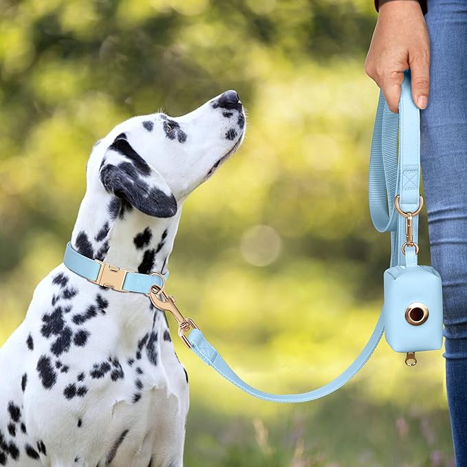 PET ARTIST Soft PU Leather Dog Collar for Small Dogs, Bright & Classic Nylon Padded Durable Dog Collar Leather with Quick Release Metal Buckle Adjustable for Male Dogs, Neck Fit 9-14"