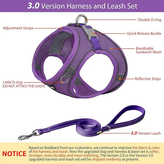 AIITLE Comfortable Dog Harness and Leash Set for Walking - Step in Vest Harness,Reflective Bands, Adjustable No Pull Puppy Essentials, for Small Dogs and House Cats Pure Purple XS
