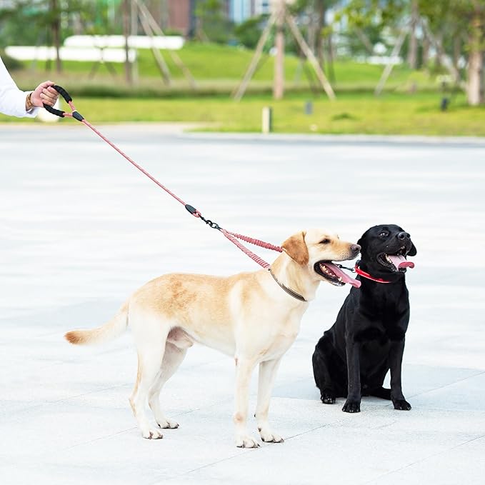 iYoShop Dual Dog Leash - 360° Swivel, No Tangle Walking Leash with Shock Absorbing Bungee for Two Dogs (Medium, 8-35 lbs, Baby Pink)