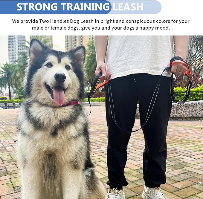 Strong Heavy Duty Dog Leash - 6ft Reflective Nylon Training Leash with Soft Padded Double Handle & Auto Lock Frog Clip - Safety Traffic Control for Medium Large Small Dogs No Pull Walk BlackOrange,6ft