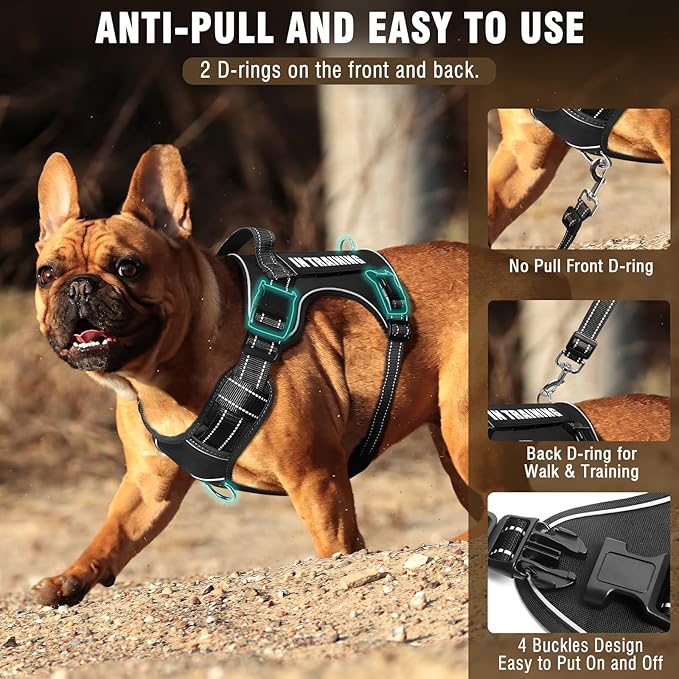 MOOGROU Tactical Dog Harness and Leash Set Medium Sized Dog,Heavy Duty No Pull Service Dog Vest and 10 Patches with Dog Seat Belt,Reflective Adjustable Pet Harness for Training Walking Hiking Black M