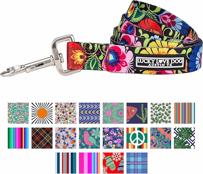 Lucky Love Dog Leash, Beautiful Vivid Patterns, Durable & Long Lasting (Blackbird, Large)