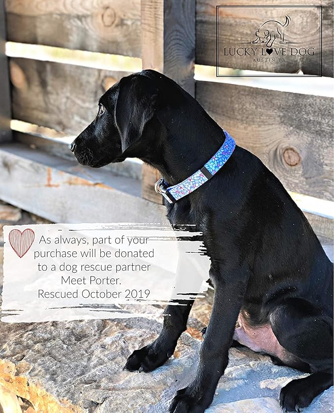 Lucky Love Dog Dog Collar, Leash Set Large, Premium, Cute and Adjustable Collars for Male and Female Dogs, Winterblue Combo, Large