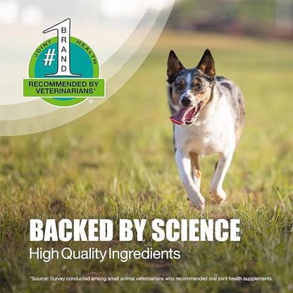 Nutramax Laboratories Dasuquin with MSM Chewable Tablets For Small/Medium Dog