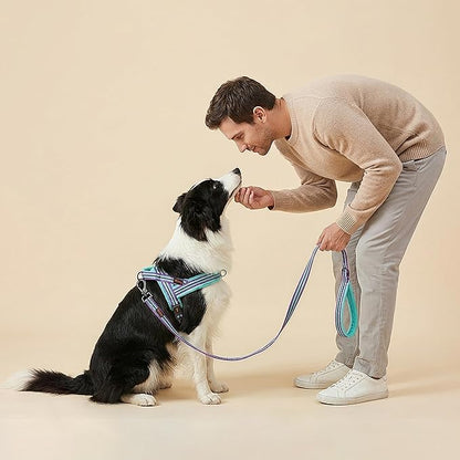 Didog Soft Flannel Padded Dog Vest Harness, No Pull/Quick Fit Reflective Dog Strap Harness, Easy for Training Walking (M:Chest 21-26", Mixed-Blue)