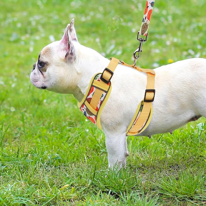 PUPTECK Thanksgiving Fall Small Dog Harness and Leash Set, No Pull Adjustable Puppy Cat Harness, Reflective Soft Mesh Pet Vest Small Sized, Leaves, M