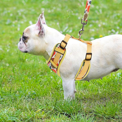 PUPTECK Thanksgiving Fall Small Dog Harness and Leash Set, No Pull Adjustable Puppy Cat Harness, Reflective Soft Mesh Pet Vest Small Sized, Leaves, M
