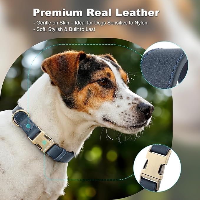 Plutus Pet Genuine Leather Dog Collar – Adjustable Pet Collar with Quick Release Metal Buckle, Soft Real Leather for Small Medium Large Dogs, Heavy Duty & Skin-Friendly (Blue, XS)