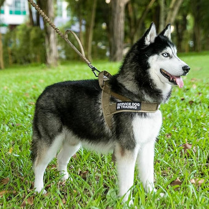 EXCELLENT ELITE SPANKER No Pull Dog Harness Padded Military Patrol Vest Adjustable Nylon Small Service Walking Dog Harness with Handle for Training Running(COB-XS)