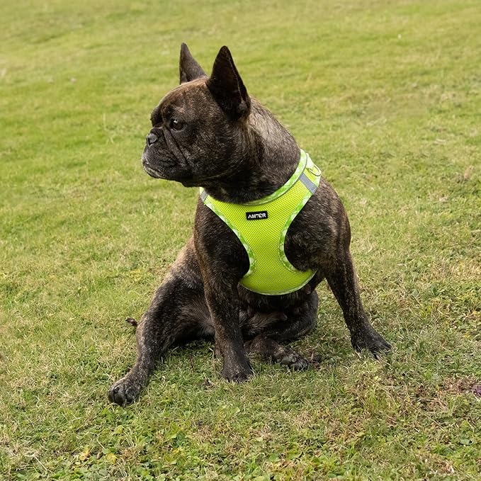 AMTOR Small Dog Harness with Leash Set, No Escape Easy Walk Puppy Harnesses for Training Walking, Step-in Reflective Soft Dogs Vest for XS S Medium Extra-Small Large Sized Dog(XS Size,Green/White)