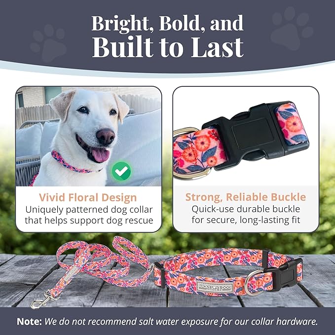 Lucky Love Dog - Easy Click Buckle Dog Collar with Leash Set Combo, Durable & Comfortable for Male & Female Dogs, Pet Collar for Small Dogs, Secure Fit - Floral Rosie Combo, Small
