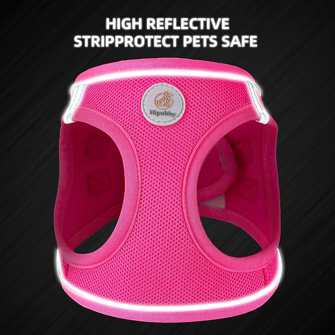 Hipubby Dog Harness and Leash Set, No Pull Soft Mesh Puppy Harness for Small Medium Dogs, Cats - Step in Reflective Breathable Lightweight Vest Harness for Walking, Training - Rose Red, L