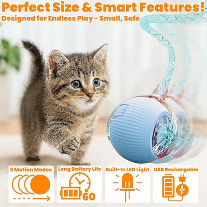2-Pack Interactive Cat Ball Toys – Pink & Blue Combo – Automatic Rolling Balls with Long Tail & Feather, 3-Modes & USB Rechargeable for Indoor Cats