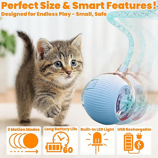 2-Pack Interactive Cat Ball Toys – Pink & Blue Combo – Automatic Rolling Balls with Long Tail & Feather, 3-Modes & USB Rechargeable for Indoor Cats