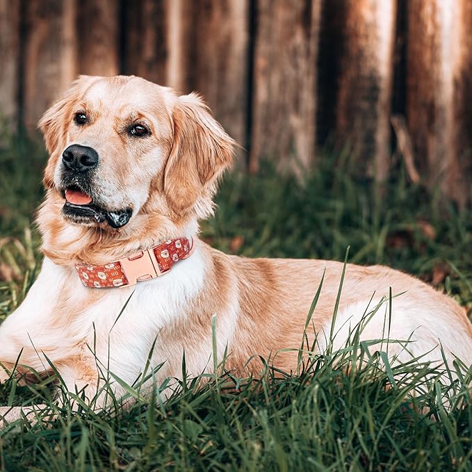 Christmas Dog Collar and Leash Set Girls Adjustable Puppy Collars with Christmas Bow Tie for Small Medium Large Female Dogs, Red Santa Claus, S