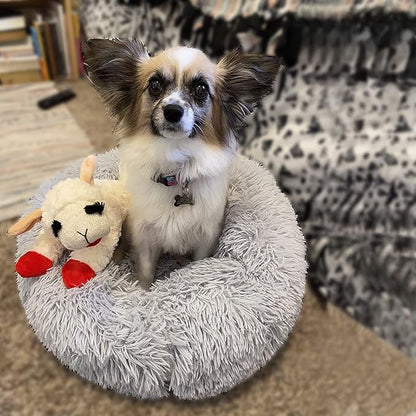 Calming Donut Dogs Beds for Small Dogs Washable,19inch Fluffy Round Puppy Bed for Puppies,Cats & Toy Breeds with Raised Rim,Fits up to 15 lbs Pets,Frost Grey