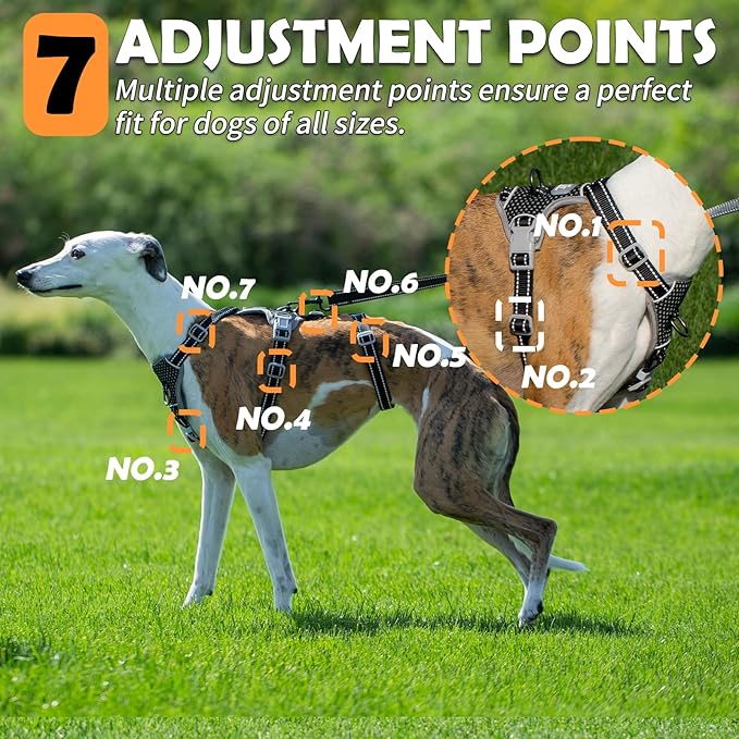 Huntboo Escape Proof Dog Harness – No Pull, No Slip, Fully Reflective, Adjustable 7-Point Design for Small, Medium, and Large Dogs – Lightweight for Outdoor Training & Hiking (Black, S)