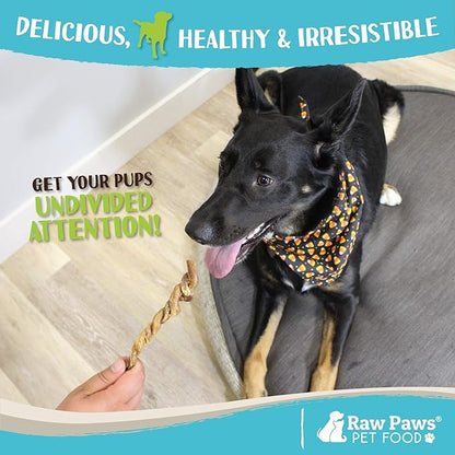 Raw Paws Lamb Pizzle Twists for Dogs, 5-9-Inch (10-Count) - USA Packed Natural Lamb Pizzle Sticks - Free-Range, Digestible Alternative Bully Sticks - Grain-Free Twist Dog Chew - Single Ingredient