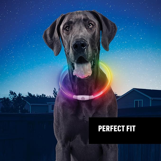 Nite Ize NiteHowl Rechargeable LED Safety Necklace - Disc-O Select - High-Visibility Collar for Nighttime - 360-Degree Illumination & Customizable Fit - Color Changing - Weather Resistant - Regular