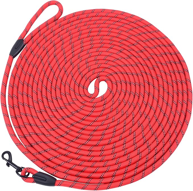 Long Dog Leash for Training 20Ft-Reflective Nylon Rope with Swivel Hook-Recall Agility Lead for Large Small Medium Dogs Outside Walking Hiking-Red