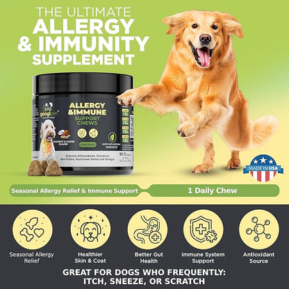 Googipet Dog Allergy Chews, Seasonal Dog Allergy Relief & Itchy Skin Relief, Skin & Coat Supplement +Bee Pollen, Colostrum, Coconut Oil, Probiotics, & Omega 3 Fish Oil for Dogs