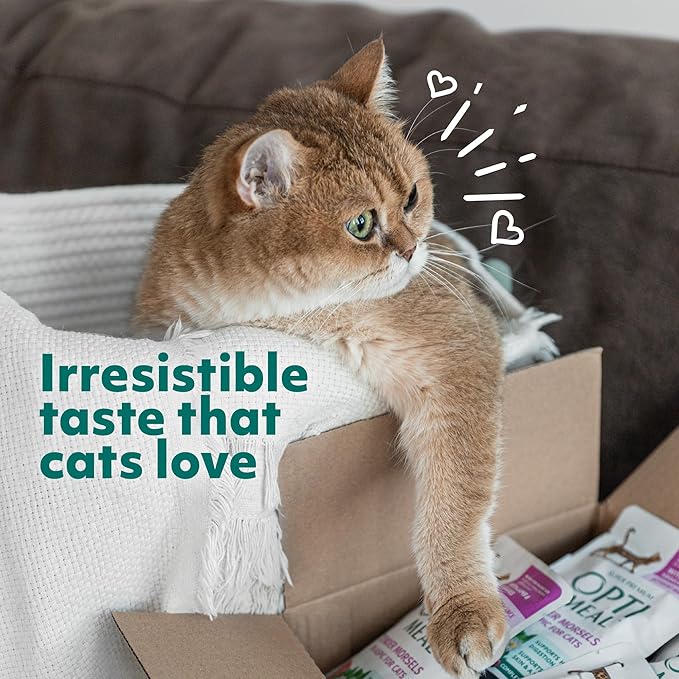 Optimeal Grain-Free Wet Cat Food Pouches – Shrimp & Salmon in Savory Gravy, High Protein & Moisture-Rich Tender Morsels, Indoor Adult Cat Food Wet with Natural European Ingredients, 3 oz (Pack of 12)