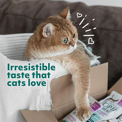 Optimeal Grain-Free Wet Cat Food Pouches – Shrimp & Salmon in Savory Gravy, High Protein & Moisture-Rich Tender Morsels, Indoor Adult Cat Food Wet with Natural European Ingredients, 3 oz (Pack of 12)