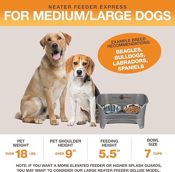 Neater Feeder Express Mess Proof Dog Bowls Elevated for Medium to Large Sized Breed, No Spill Raised Dog Food Bowl Stand, Stainless Steel Food and Water Bowl Set, Pet Dish Feeding Station, Grey