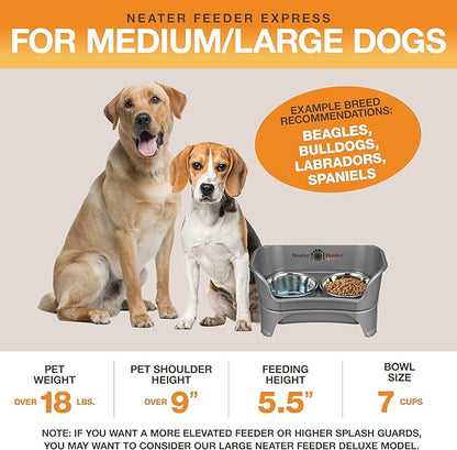 Neater Feeder Express Mess Proof Dog Bowls Elevated for Medium to Large Sized Breed, No Spill Raised Dog Food Bowl Stand, Stainless Steel Food and Water Bowl Set, Pet Dish Feeding Station, Grey