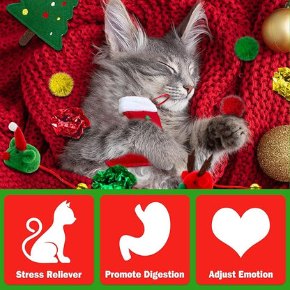 Lepawit Cat Christmas Stocking, 10 Pack Gifts for Christmas, Interactive Feather Toy with Catnip, Cat Ball Toys, Crinkle Balls, Mice Toys for Indoor Cats & Kitten