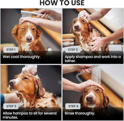 Puppy Shampoo & Conditioner | Made in USA | Tear Free | Best Shampoo for Puppies | Sensitive & Itchy Skin Wash | Oatmeal Bathing | Tearless, Unscented, 8oz [We Love Doodles]