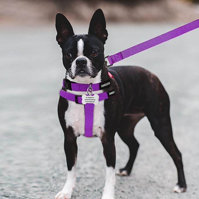 No Pull Dog Harness - Adjustable Step-in Harness & Leash Set for Small, Medium, Large Dogs - Escape Proof Soft Pet Harness for Walking, Training, Hiking, Outdoor Activities
