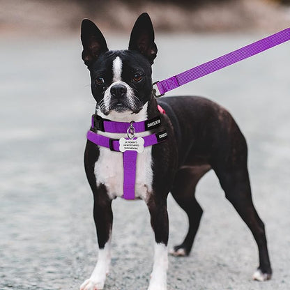 No Pull Dog Harness - Adjustable Step-in Harness & Leash Set for Small, Medium, Large Dogs - Escape Proof Soft Pet Harness for Walking, Training, Hiking, Outdoor Activities
