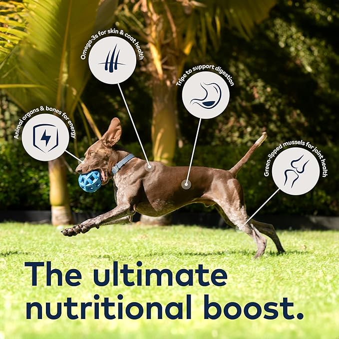ZIWI Peak Air-Dried Dog Food, Variety Pack Trial Size: Beef + Chicken + Lamb - All Natural, High Protein, Grain Free, Limited Ingredient w/Superfoods (3.5oz Pack of 3)
