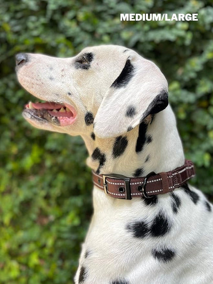 Tuff Pupper Heavy Duty Dog Collar with Handle | Ballistic Nylon Heavy Duty Collar | Padded Reflective Dog Collar with Adjustable Stainless Steel Hardware | Convenient Sizing for All Breeds