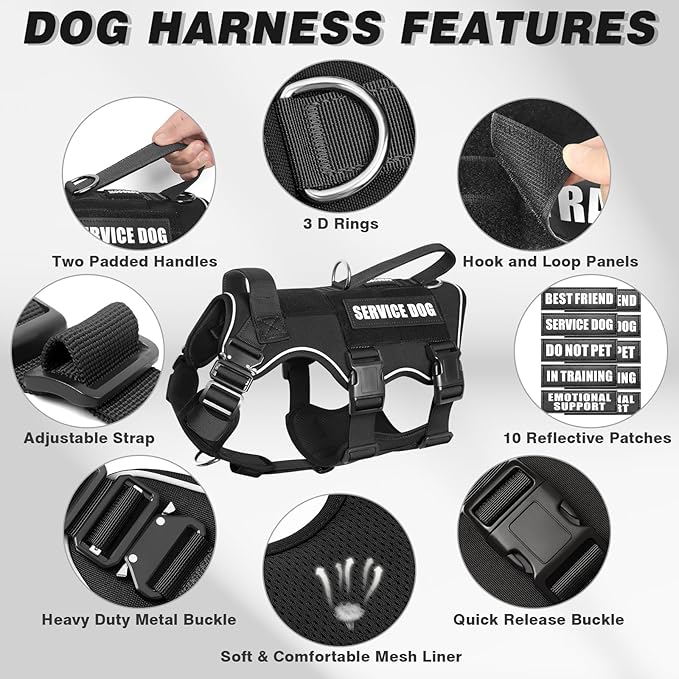 Tactical Service Dog Vest and Leash Set,Heavy Duty Harness with Metal Buckles for Large Dogs,Adjustable No Pull Pet Vest with 10 Patches,for Training Working Hiking,Black XL