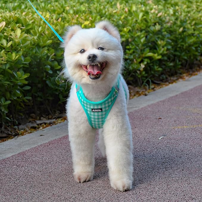 AIITLE No-Pull Pet Harness with a Leash, Plaid Comfort Padded Vest, Step in Dog Harness, Reflective Bands, Soft Breathable Pet Supplies, for Small and Medium Dogs and Cats Turquoise S
