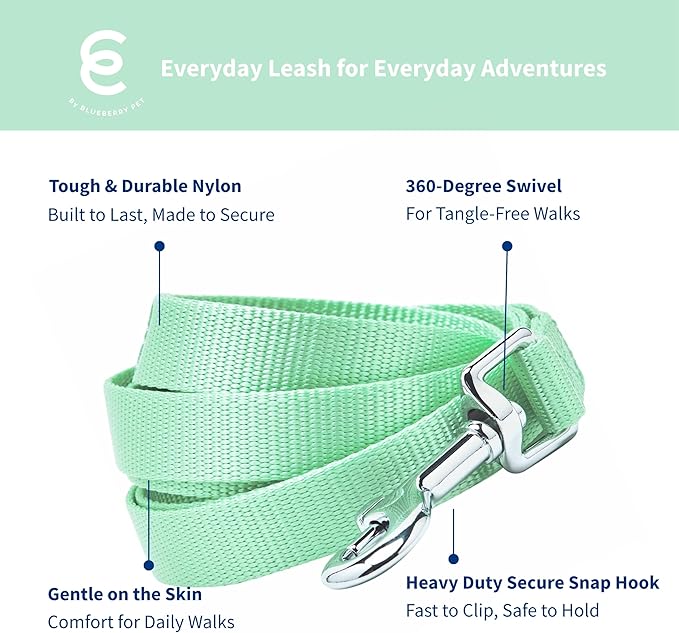 Blueberry Pet Essentials Pastel Green Dog Leash for Large - 4' * 1" Dogs | Heavy Duty Nylon Lead | Lightweight Puppy & Cat Leash for Walking & Training