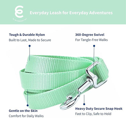 Blueberry Pet Essentials Pastel Green Dog Leash for Large - 4' * 1" Dogs | Heavy Duty Nylon Lead | Lightweight Puppy & Cat Leash for Walking & Training