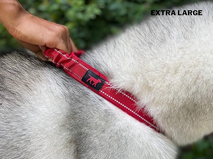 Tuff Pupper Heavy Duty Dog Collar with Handle | Ballistic Nylon Heavy Duty Collar | Padded Reflective Dog Collar with Adjustable Stainless Steel Hardware | Convenient Sizing for All Breeds