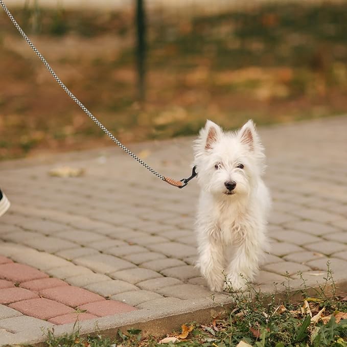 Mile High Life Small Dog Leash, Thin Rope Leash with Genuine Leather Connection and Heavy Duty Metal Clasp, Great for Small Medium Dogs(Black Khaki,72 Inch-1/3)