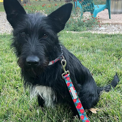 Lucky Love Dog - Easy Click Noel Dog Collar with Leash Set Combo, Durable & Comfortable for Male & Female Dogs, Pet Collar for Large Dogs, Secure Fit - Noel Combo, Large
