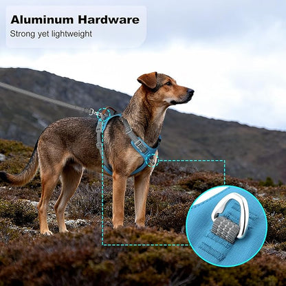 ApakBak No Pull Dog Harness – Adjustable Reflective Nylon Vest for Small Medium Large Dogs, Escape Proof Training Harness with Leather Control Handle, Lightweight Aluminum Hardware (Cyan, M)