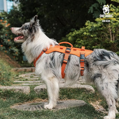OneTigris Escape Proof Dog Harness, No Pull Dog Harness with Handles, Tactical Multi-Use Support Dogs Harnes for Large Dogs Everyday Wear Walking Hiking Training (Orange, Medium)