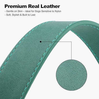 Plutus Pet Genuine Leather Dog Collar – Adjustable Pet Collar with Quick Release Metal Buckle, Soft Real Leather for Small Medium Large Dogs, Heavy Duty & Skin-Friendly (Green, S)