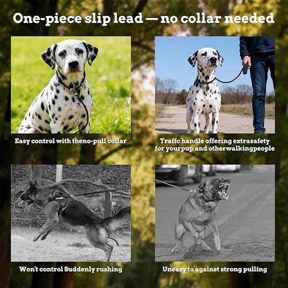 EVERKING Dog Slip Lead Dog Training Leash, No-Pull Slip Leash and Collar,Nylon Material Heavy-Duty and Durable,with Comfortable Padded Handle,Suitable for All Dogs (Black(4.9-5.9FT-Metal Buckle))