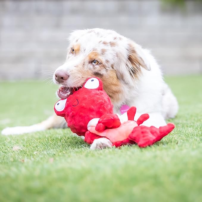 Huxley & Kent Slappies for Dogs | Claude Lobster (Small) | Squeak & Shake Dog Toy | No Stuff Squeaky Toy, TPR Ball in Head | Simulates Hunting Nature for Dogs