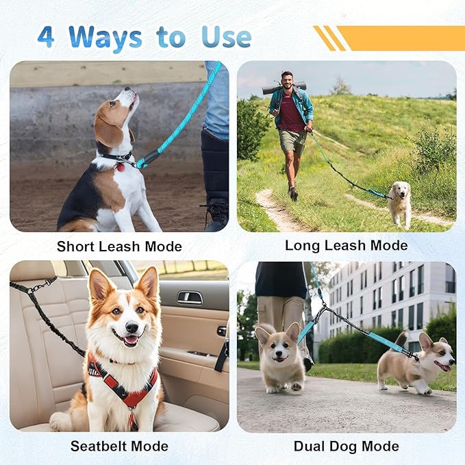 Double Dogs Leash - Removable Main Lead Rope with Splitter, No Tangle 2 Dog Coupler, Reflective No Pull Bungee, 3 Handle, D-Ring, Extra Long for Walk Train Medium Large Two Pet (Blue)