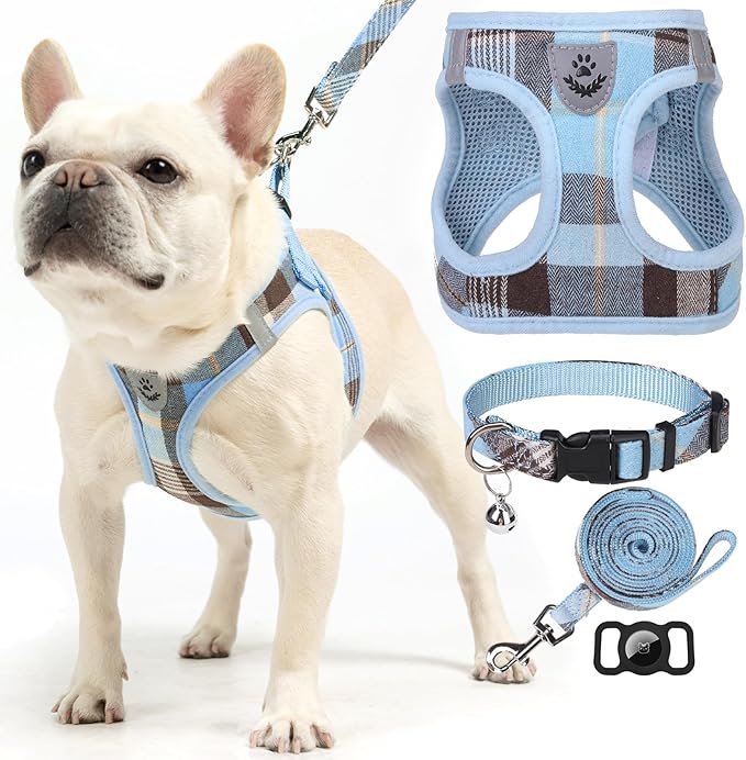 EXPAWLORER Classic Plaid Puppy Harness - Small Dog Harness and Leash Set - Dog Collar and Leash Set with AirTag Holder, Soft Padded Step in Dog Vest Harness No Pull Reflective for Outdoor, Blue XXS