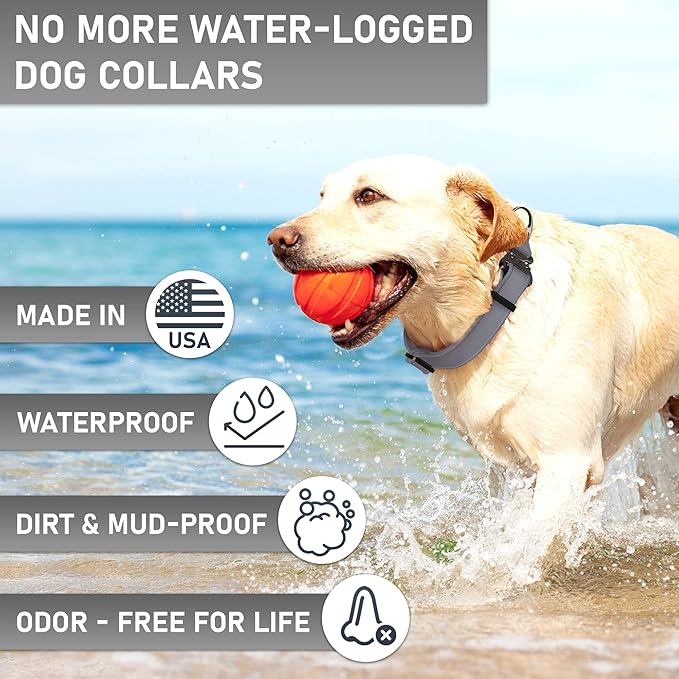 NexaPaw Biothane Dog Collar with Cobra Buckle - Made in USA - QR Code Dog Tag ID Included - Adjustable Heavy Duty Dog Collars for Medium Large Dogs - Waterproof Military Grade Tactical Collar